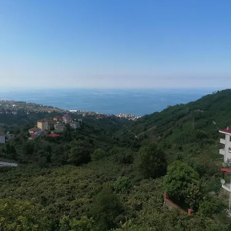 Ugurlu Daire * Trabzon