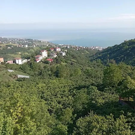 Ugurlu Daire Apartment *